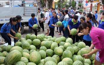 Người thành thị nói gì khi được khuyên không nên tham gia giải cứu nông sản